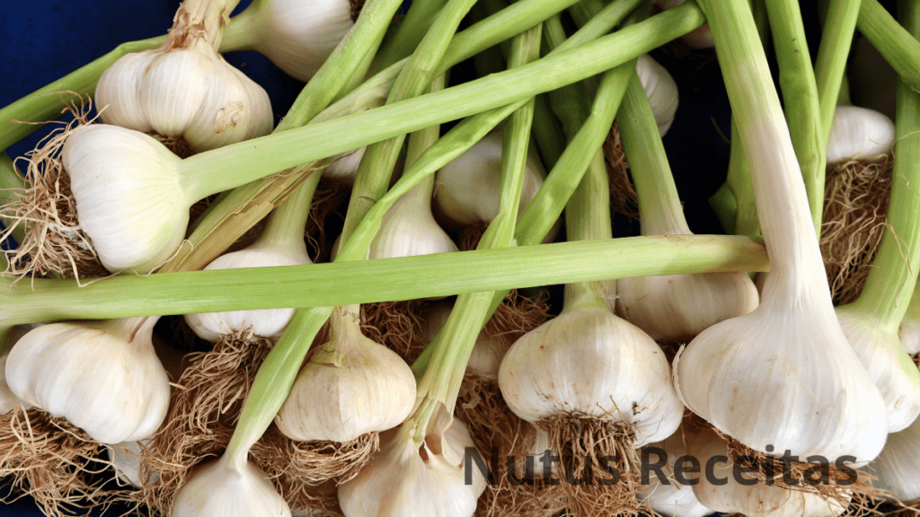 Os 10 Incríveis Benefícios do Alho como Antibiótico Natural 3 12 1