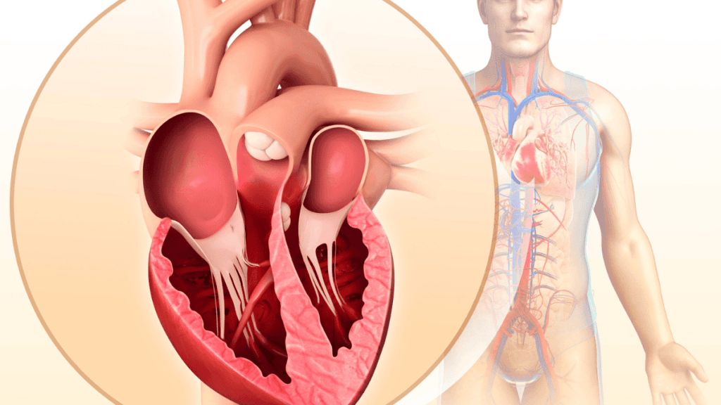 A Berinjela como Tratamento Natural para a Saúde do Coração 2.0 5 doenças cardiecas