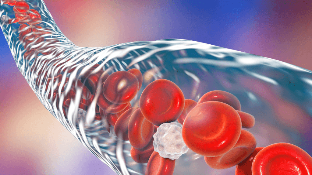 O Que é Glicose? Como Controlar Níveis de Glicose Alterada 2 Glicose