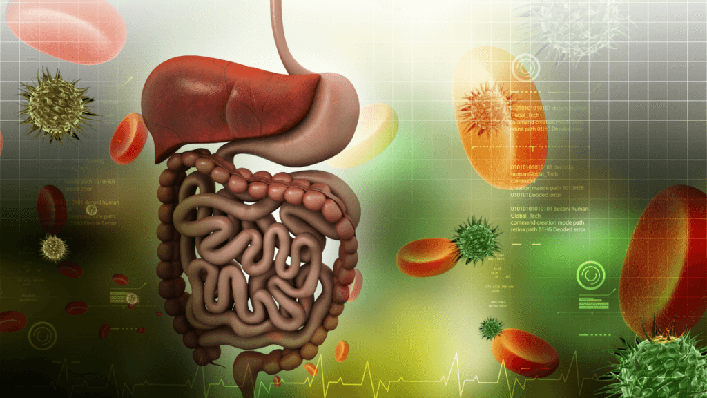 Benefícios da Gráviola no Combate às Células Cancerígenas em 2024. 5 Saude digestiva