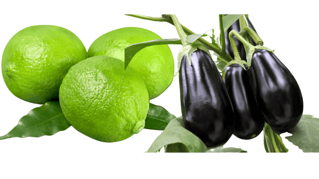 A Berinjela como Tratamento Natural para a Saúde do Coração 2.0 7 Berinjela com Limão
