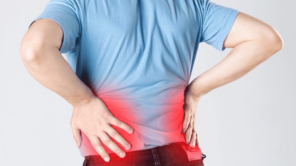**Tratamento Natural dos Rins com Suco de Romã 2.0** 3 Efeito antiflamatório