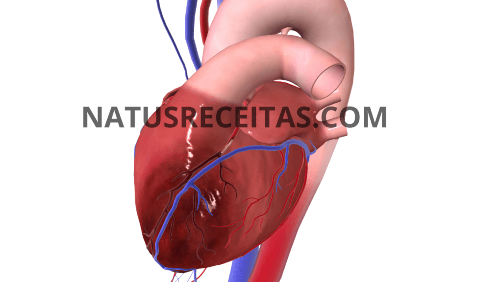 Os 10 Incríveis Benefícios do Alho como Antibiótico Natural 5 saude vascular