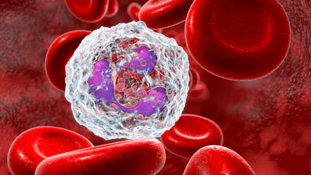 Benefícios da Gráviola no Combate às Células Cancerígenas em 2024. 4 sisteme imunologico