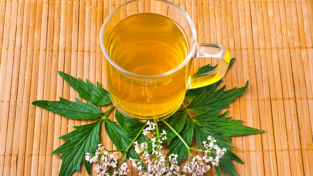 5 Chás Calmantes para Relaxar a Mente e Promover o Sono 4 Chá de Valeriana