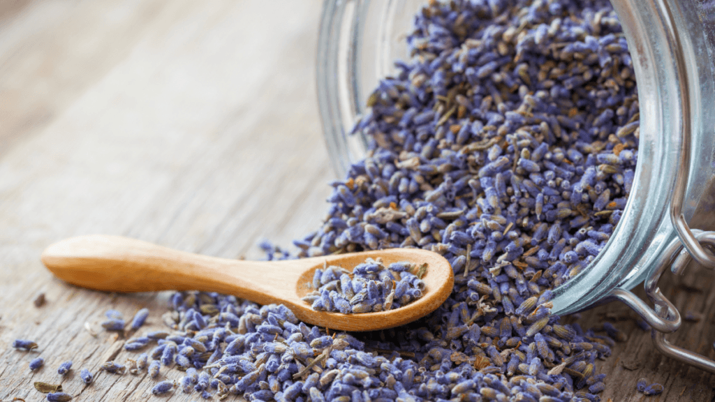 5 Chás Calmantes para Relaxar a Mente e Promover o Sono 3 Chá de Lavanda
